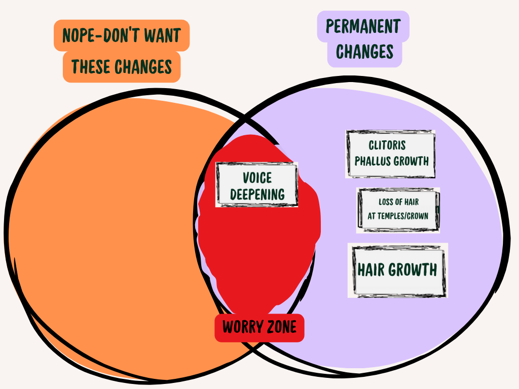 The next Venn diagram described