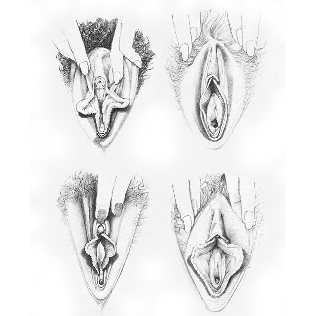 © Betty Dodson.  All rights reserved.