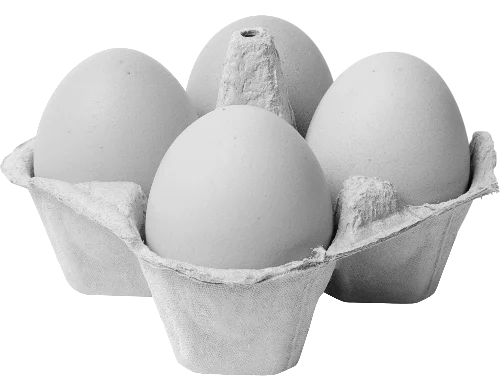 four eggs in monochrome